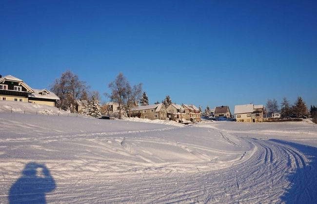 Fantastic Apartment in Frauenwald near Forest - Foto 47