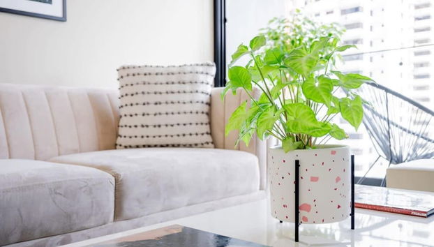 w Comfy 1BR in San Francisco - Foto 2, Habitación