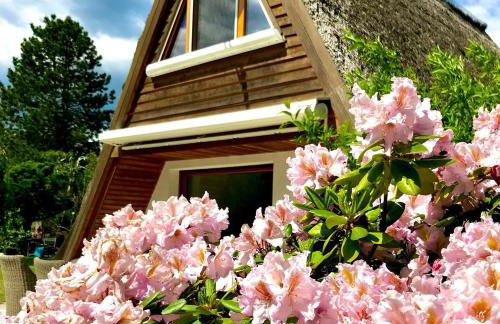 Finnhütte Seeblick an der Elbe - Foto 20