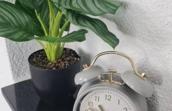 Schöne Wohnung in ruhiger Gegend - Foto 30