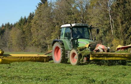 Ferienhof Weber Nieratz - Foto 35