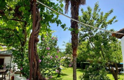 Quinta Alfaval - Foto 14