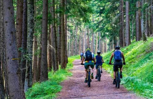 Holiday Home With Fireplace and Private Garden - Foto 53