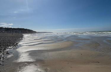 La cour d Anvers - Foto 55