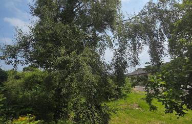 Bridie's Cottage - Foto 30