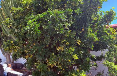 Apartment Luna FKK Nudist Place - Foto 28