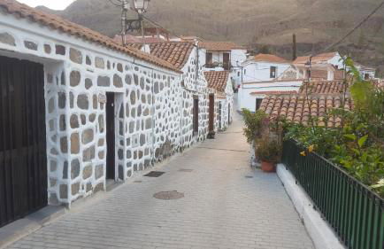 Casa Reyes Fataga - Foto 43