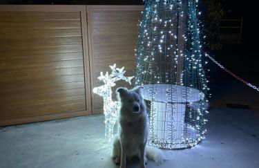 C'Genoveva Complejo Turistico Rural CaleaCabo - Foto 67