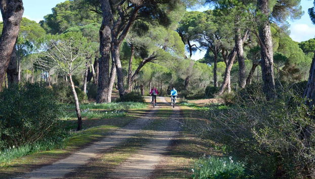 Tra i pini di Punta Umbría