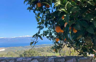 Apartment Areti - Foto 15