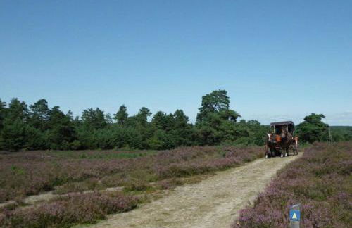 Holiday Home Hirtenkate Apartment 2 - Foto 33