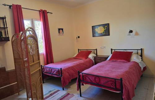 El Recodo del Tajo - Photo 31