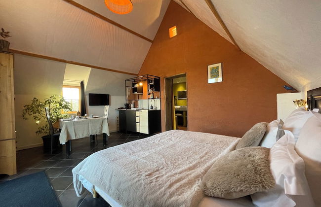 Alex Factory - Foto 8