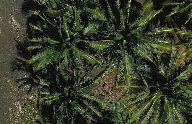 Solindo Stays - Foto 50