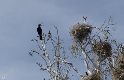 Wierzbowa Ostoja - Domek letniskowy BOSMAN - Photo 40