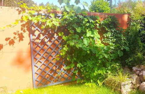 Mała Garda - Foto 36