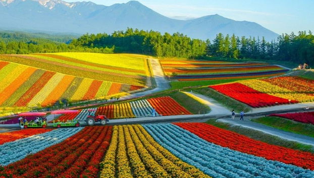 Hokkaido Rail Pass - Photo 3