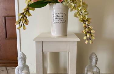 Or Son Sano - Foto 7