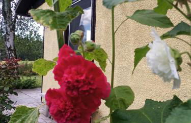 Flämingpanorama - Ländliches Gartenhaus mit Kamin und Naturpanorama - Photo 25