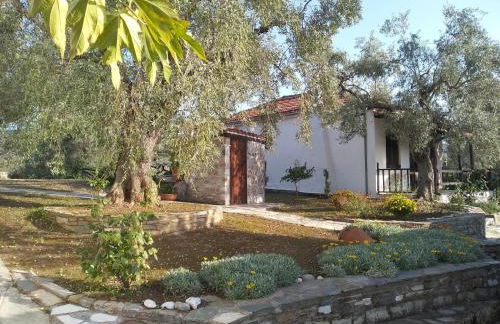 Saint Andrews Bay - Foto 24