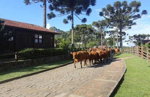 Boqueirão Hotel Fazenda - Foto 5