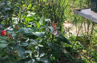 Apartment Gartenblick by Interhome - Foto 15