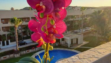 Ático dúplex con piscina privada y vistas al mar en Paraíso de Vera! - Foto 4, Garden view