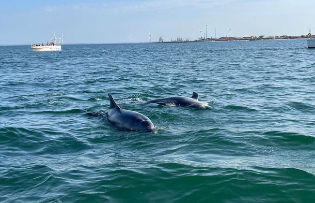 6 Person Holiday Home in Thyboron - Foto 80