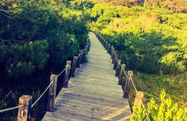 Golden Stone Beach Retreat - Foto 22