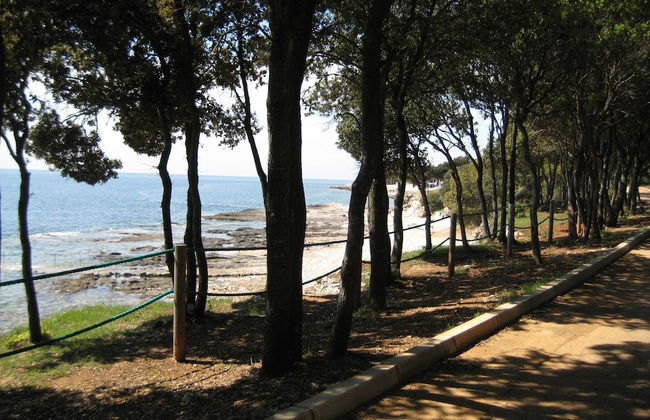 Peaceful House Only 900m From the sea With Swimming Pool, Bbq, Wifi, Airco - Photo 37