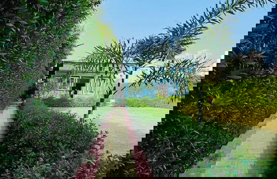 Wiseone Choice Farm - Foto 17