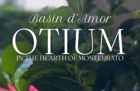 Monferrato Country House Basin dAmor Casa di campagna - Photo 34