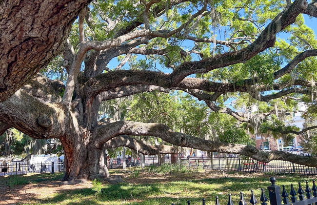 Canopy Cove Stunning 2BR Apt Heart of Downtown - Foto 17