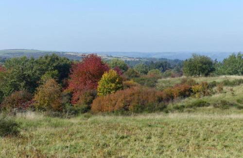Modernes Apartment mit Parkplatz in der Eifel - Foto 109
