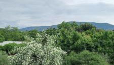 Casa di Alice - Foto 2