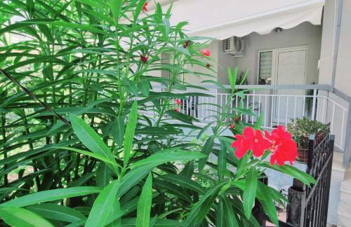 Frida's Urban Escape - Foto 12