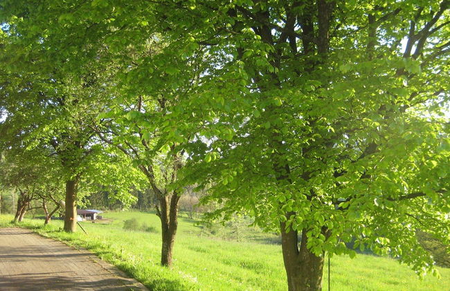 Apartment in Kirchhundem in the Middle of Nature - Photo 16