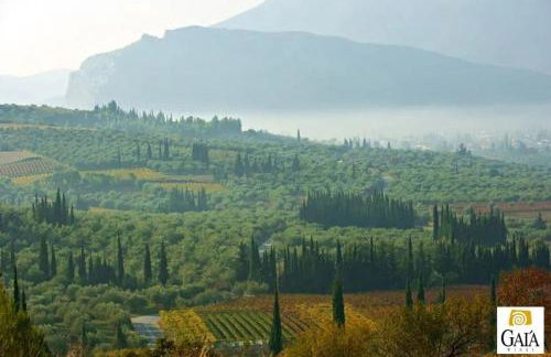 Studio ARIS, a breath away from Athens! - Foto 75