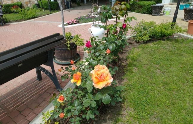 Maisonettes in Royal Bay Residence&SPA 2 - Foto 43