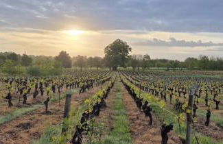 Gîte Au Petit Bonheur - Photo 29