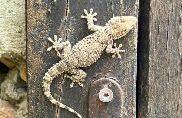 Blue Dawn - Photo 46