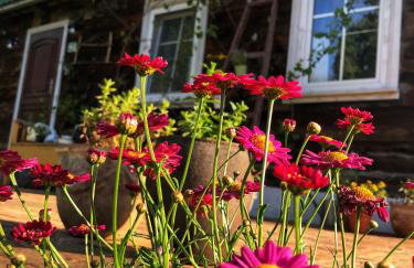 Magiczne Podlasie - Foto 23