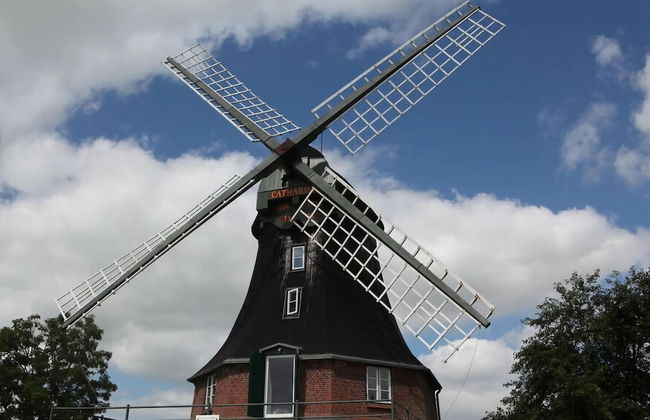 Holiday Apartment Eiderstedt - Foto 26