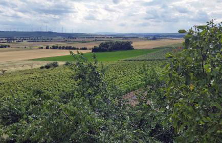 Ferienwohnung Olm - Foto 32