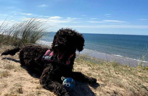 Combe-n-Sea - Foto 26