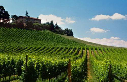 Alice’s House - Foto 47