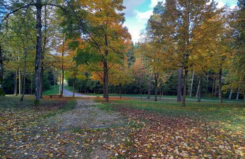 Ferienwohnung am Pinzigberg - Foto 30