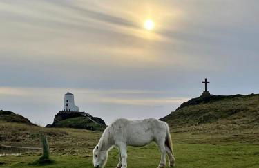 Menai Bridge - Foto 27