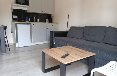 Domek letniskowy Sunny House , Nocleg Zator Energylandia - Foto 13