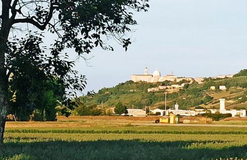 Il Cipresso - Foto 25